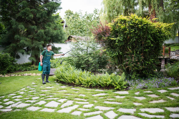 Best Termite Control Services  in Munsey Park, NY
