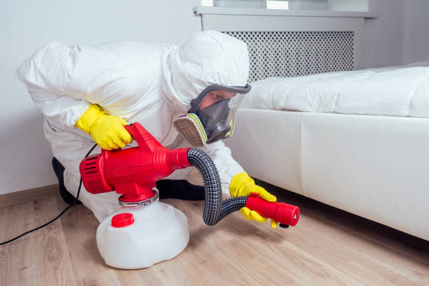 Best Termite Control Services  in Munsey Park, NY