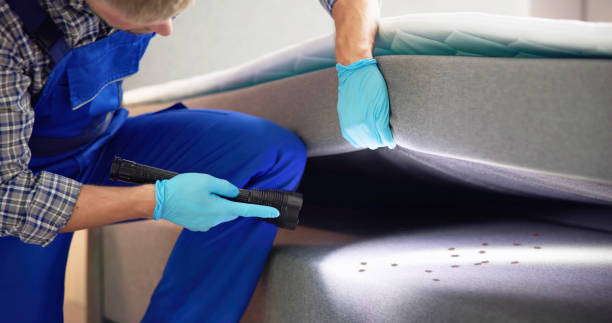 Best Wasp Removal Services  in Munsey Park, NY