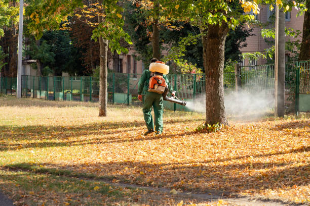 Professional Pest Control in Munsey Park, NY