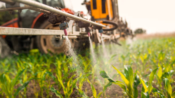 Pest Prevention Services in Munsey Park, NY